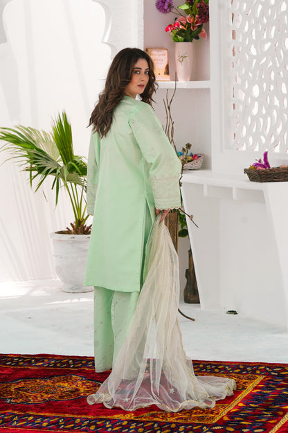Back view of Plant Foam 3Pc embroidered lawn outfit showing paneled shirt and elegant stitching details