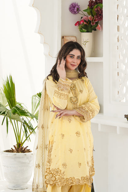 Sleeves with organza borders and crochet lace on Wester 3Pc dress